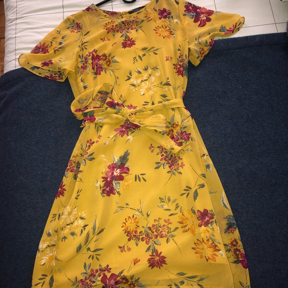 Size small dress from Dynamite!